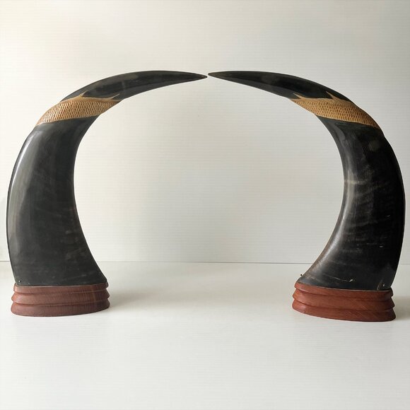 Vintage Hand-Carved Water Buffalo Horn Pair Dragon & Tiger Asian Art Decor - Picture 2 of 11